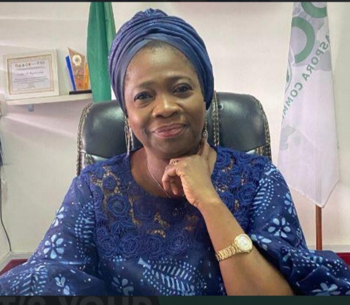 Over 300 Diaspora Nigerian professionals take steps to strengthen local health system